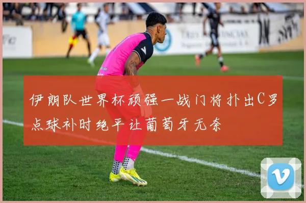 伊朗队世界杯顽强一战门将扑出C罗点球补时绝平让葡萄牙无奈