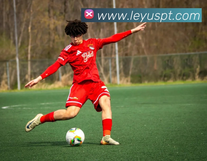 乐鱼体育发展历程